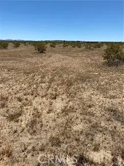 900 Fetlock Road, Landers, CA 92285 - Image #2