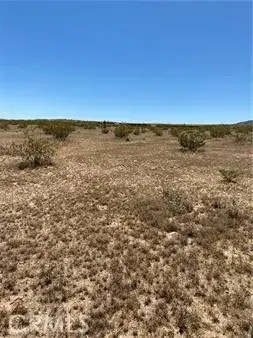 900 Fetlock Road, Landers, CA 92285 - Image #3