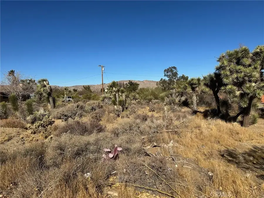 56434 Desert Gold, Yucca Valley, CA 92284 - Image #3