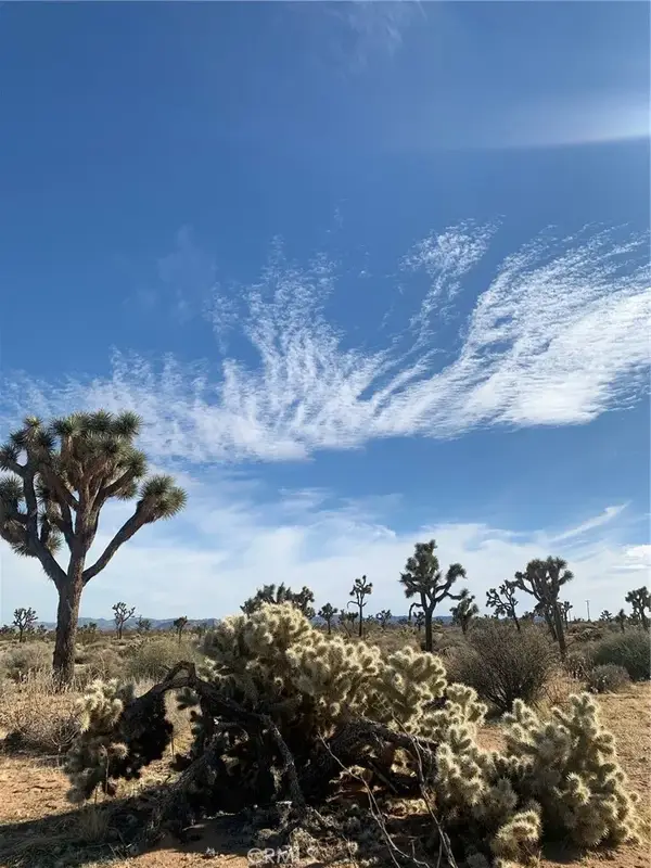 57816 Pajara, Yucca Valley, CA 92284