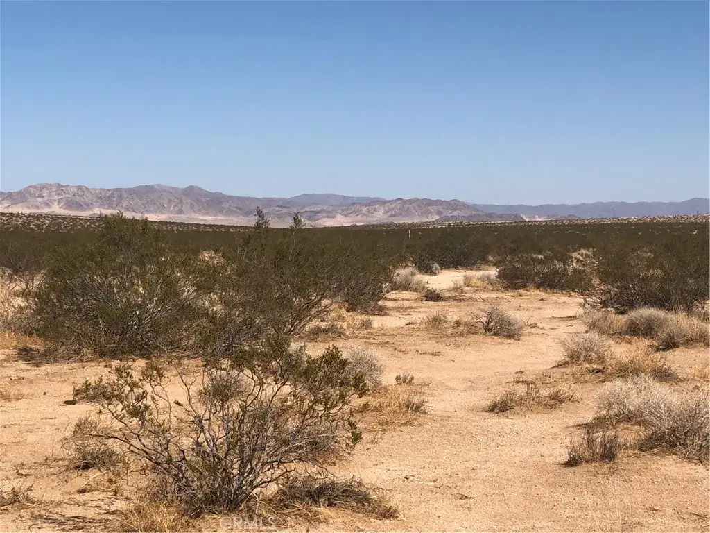0 Near Daisy, Joshua Tree, CA 92252 - #1
