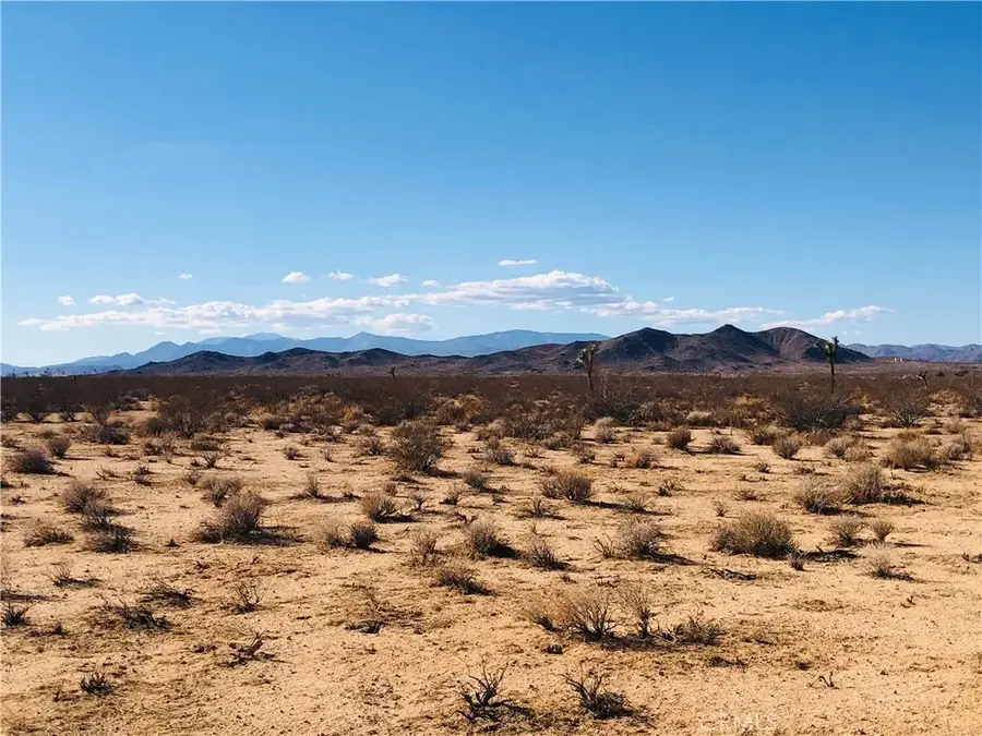 2 Venus, Joshua Tree, CA 92252 - #2