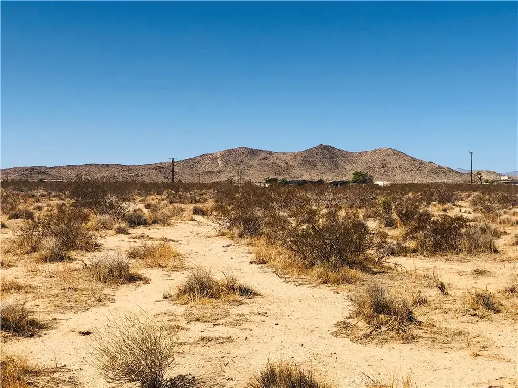 2 Napa, Landers, CA 92285 - #1