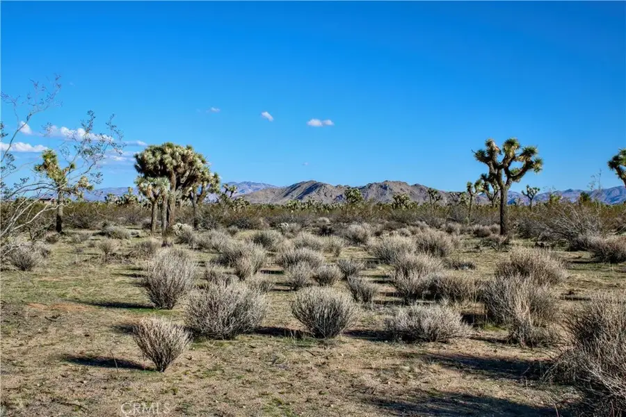 11 El Dorado Ave, Yucca Valley, CA 92284 - Image #2