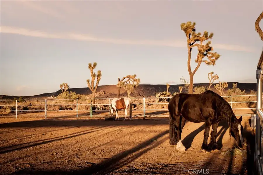 2680 Vine Avenue, Pioneertown, CA 92268 - Image #2