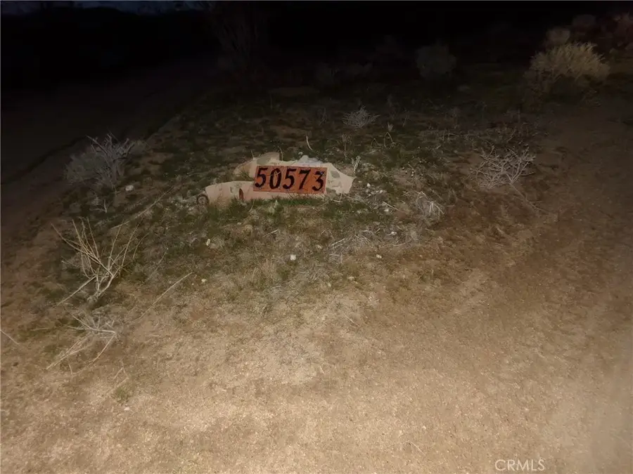 50573 Cholla, Johnson Valley, CA 92285 - #3
