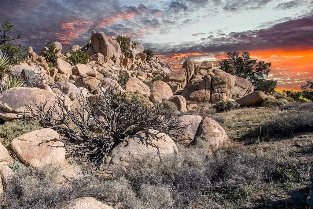 6274 Omega, Yucca Valley, CA 92284 - #1