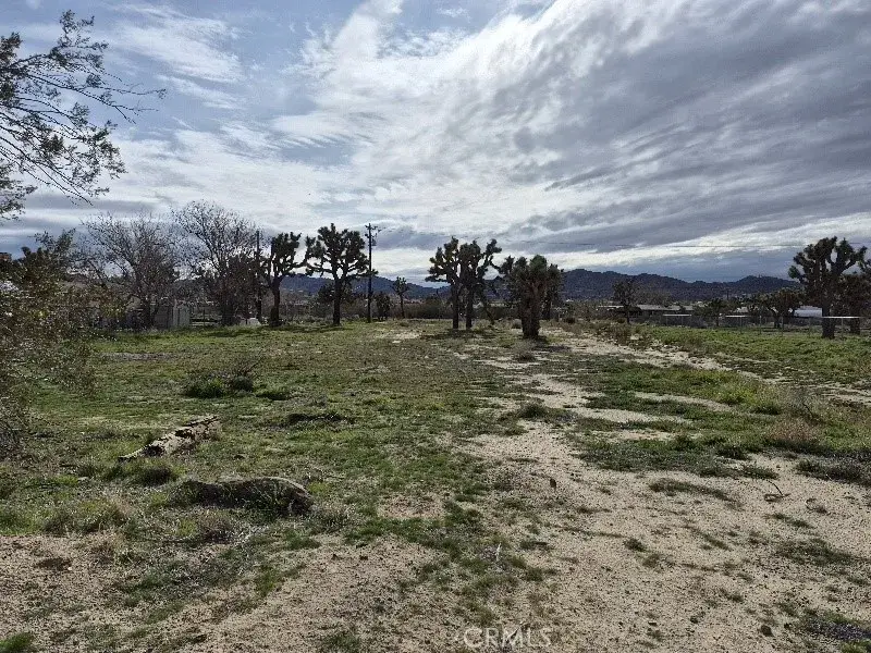 0 Cassia, Yucca Valley, CA 92284 - #2
