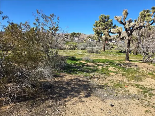 7484 Palm, Yucca Valley, CA 92284