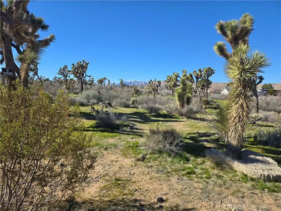 7484 Palm, Yucca Valley, CA 92284 - Image #3
