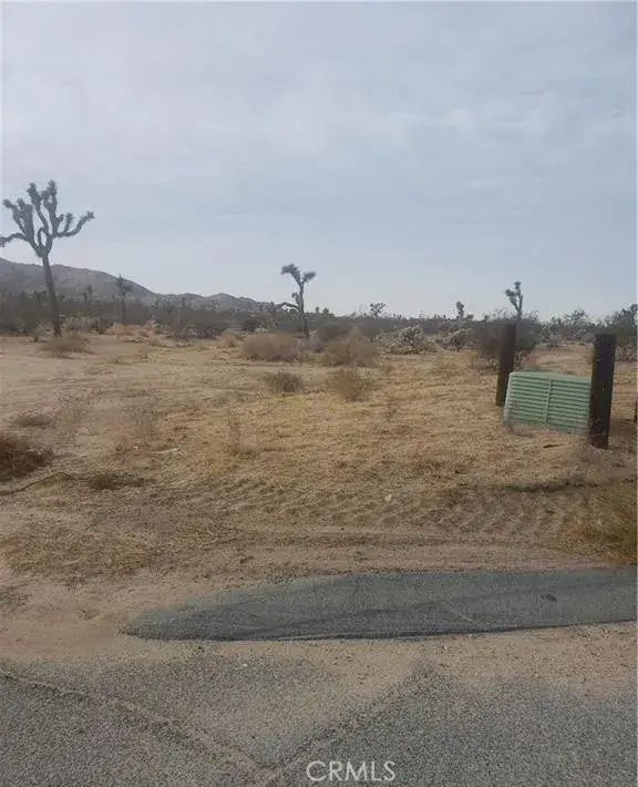 29 Palms, Joshua Tree, CA 92252