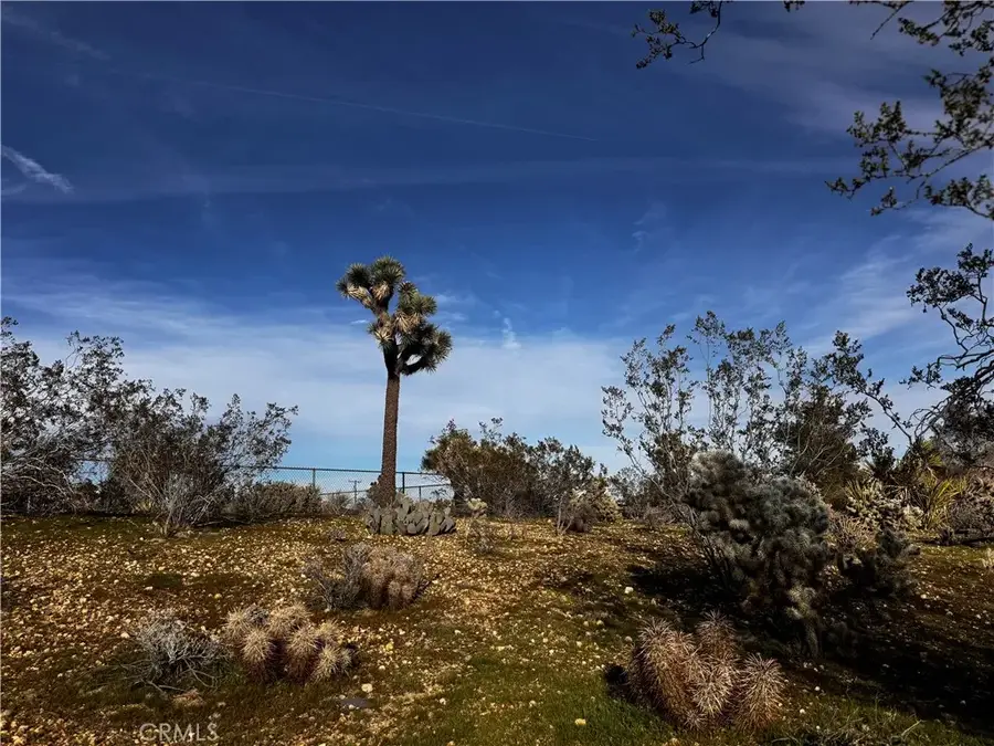 0 Camarilla, Yucca Valley, CA 92284 - #3