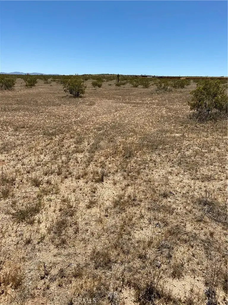 0 Fetlock, Landers, CA 92285 - #2