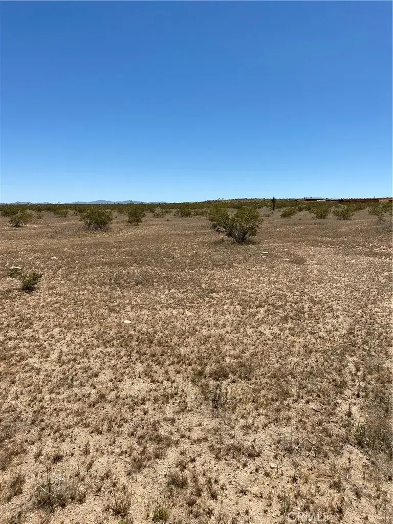 0 Fetlock, Landers, CA 92285 - #3