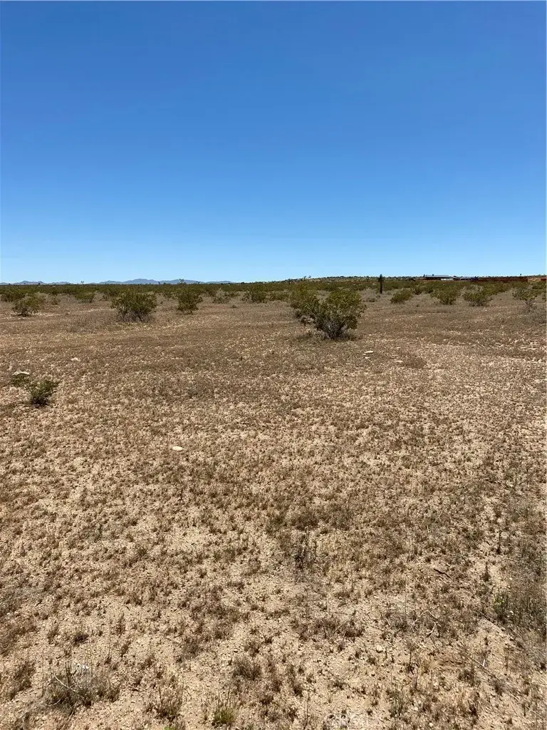 900 Fetlock, Landers, CA 92285 - #3