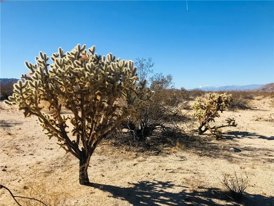 5 Appian, Venice, CA 92277 - #2