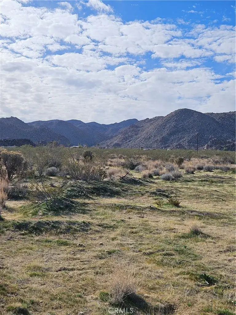 0 Cottonwood, Joshua Tree, CA 92252 - #1