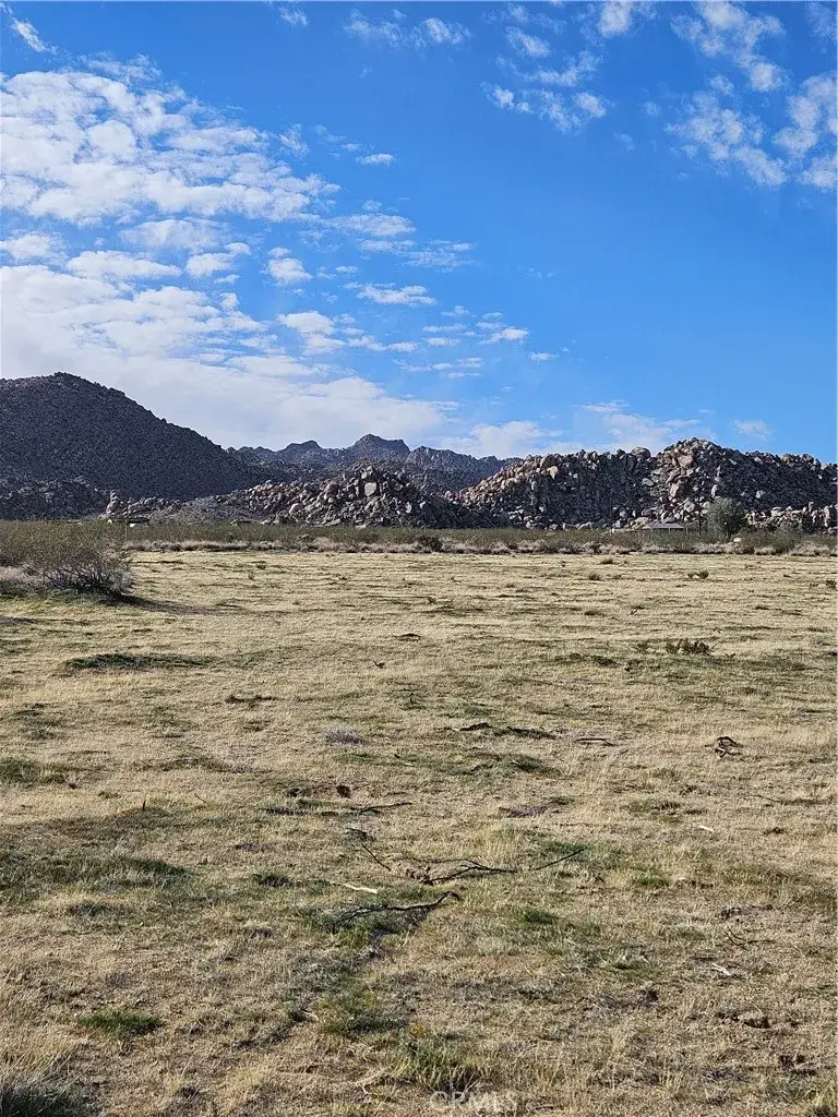 0 Cottonwood, Joshua Tree, CA 92252 - #2