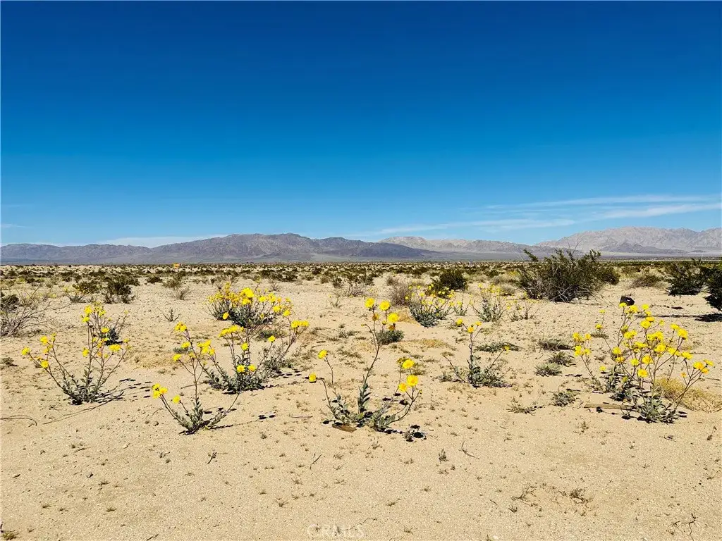 0 Near Shelton, Twentynine Palms, CA 92277 - #1