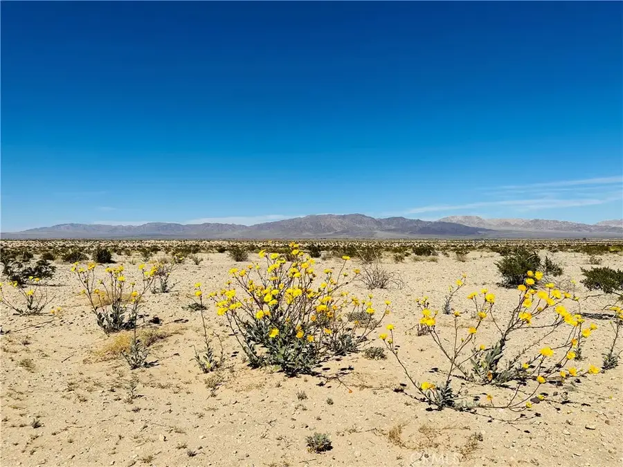 0 Near Shelton, Twentynine Palms, CA 92277 - #2