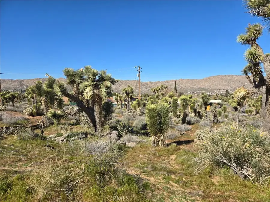 55000 Bunny, Yucca Valley, CA 92284 - #2