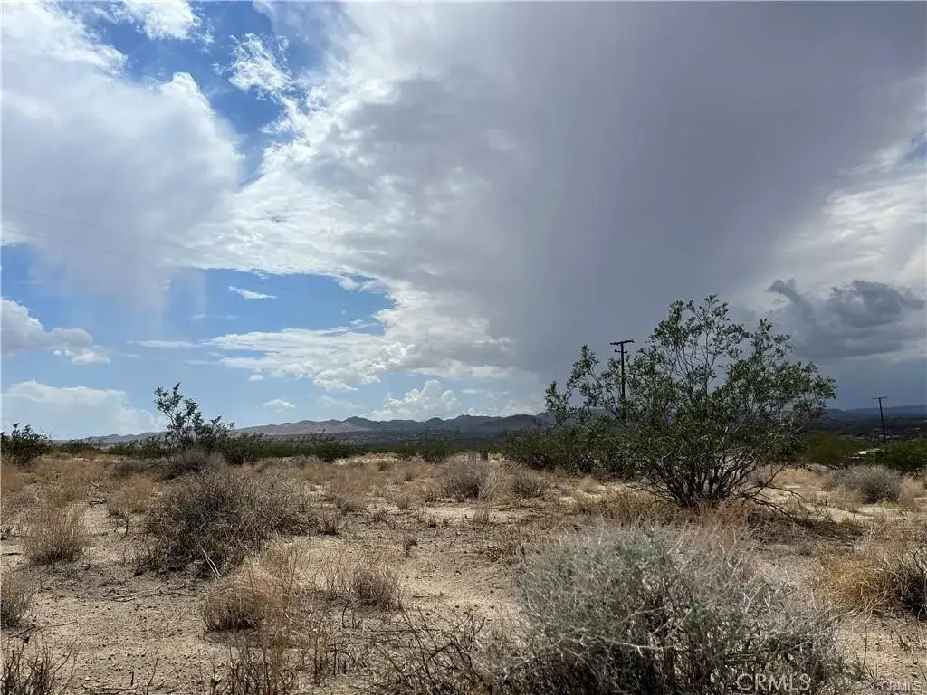 0 Bodick, Landers, CA 92285 - #1