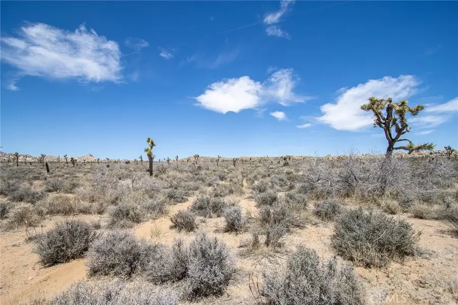 52552 Gamma Gulch, Twentynine Palms Yucca Valley, CA 92284 - #2