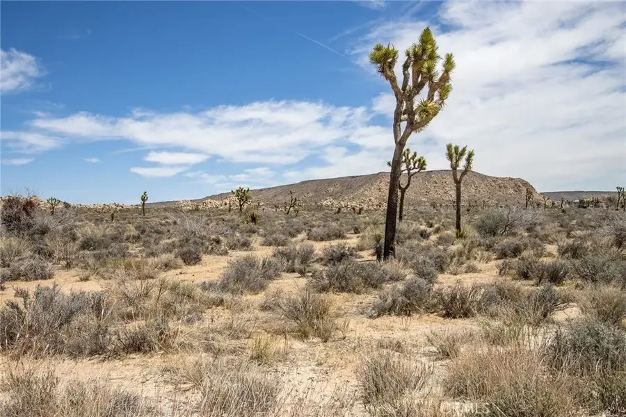 59190 Barron Drive, Yucca Valley, CA 92284 - #3