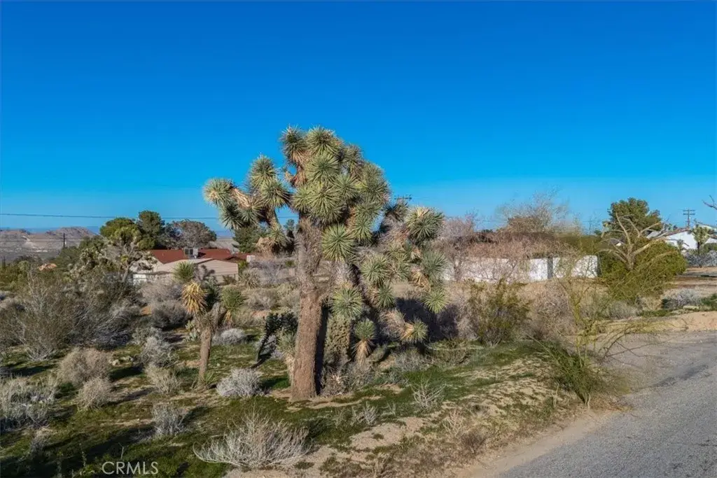 60432 Latham, Joshua Tree, CA 92252 - #1