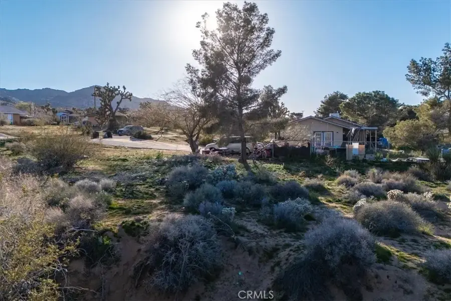 60432 Latham, Joshua Tree, CA 92252 - #2