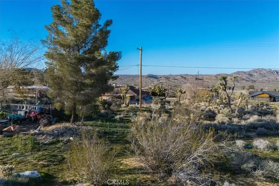 60432 Latham, Joshua Tree, CA 92252 - #3