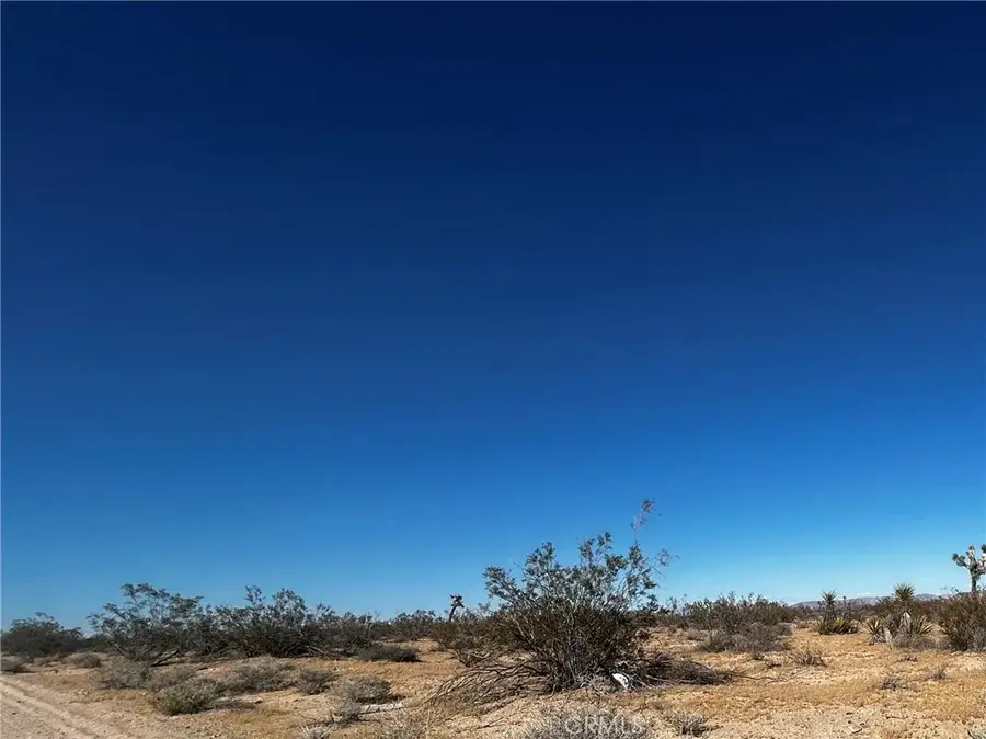 0 Celesta, Joshua Tree, CA 92252 - #2