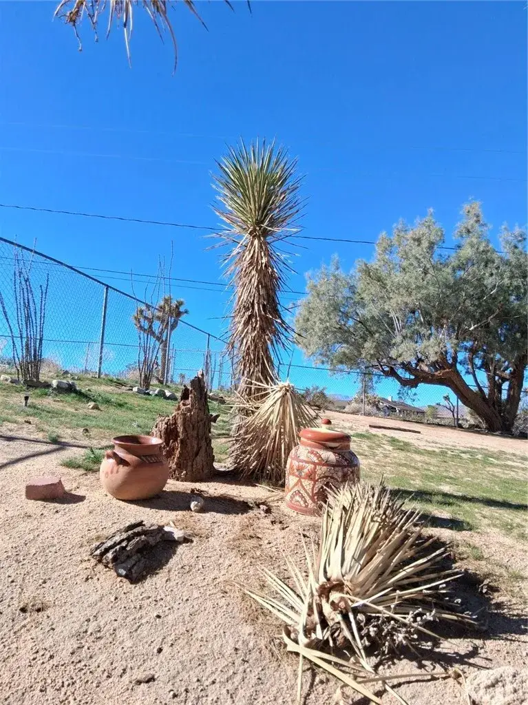 6896 Conejo, Joshua Tree, CA 92252 - #3