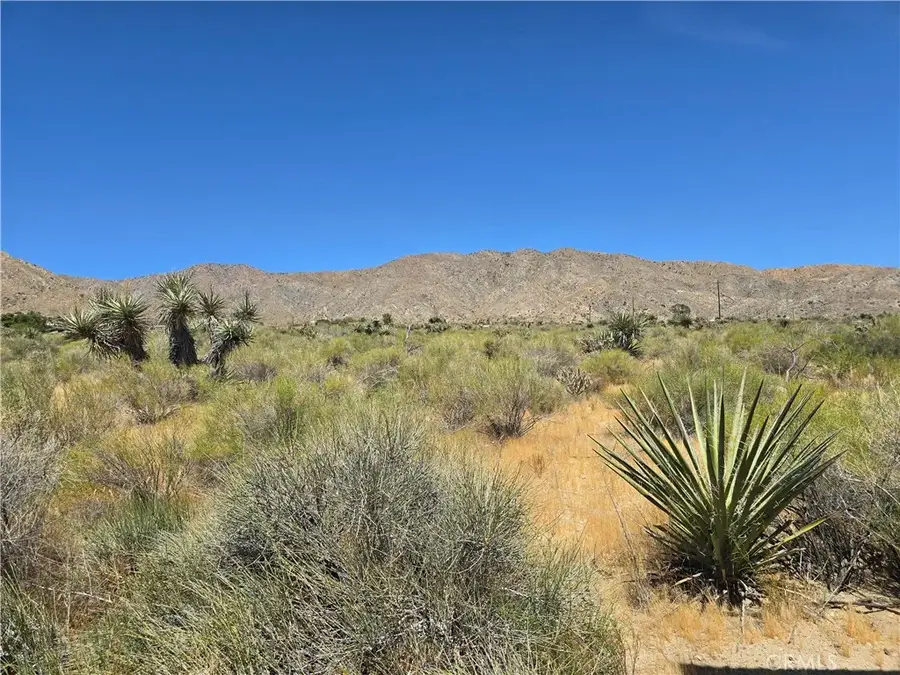 5 Apache, Morongo Valley, CA 92256 - #3