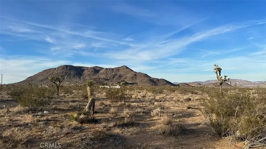 59775 Bearing Tree, Landers, CA 92285 - #2