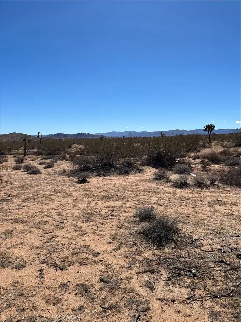 0 Avalon, Landers, CA 92285 - #1