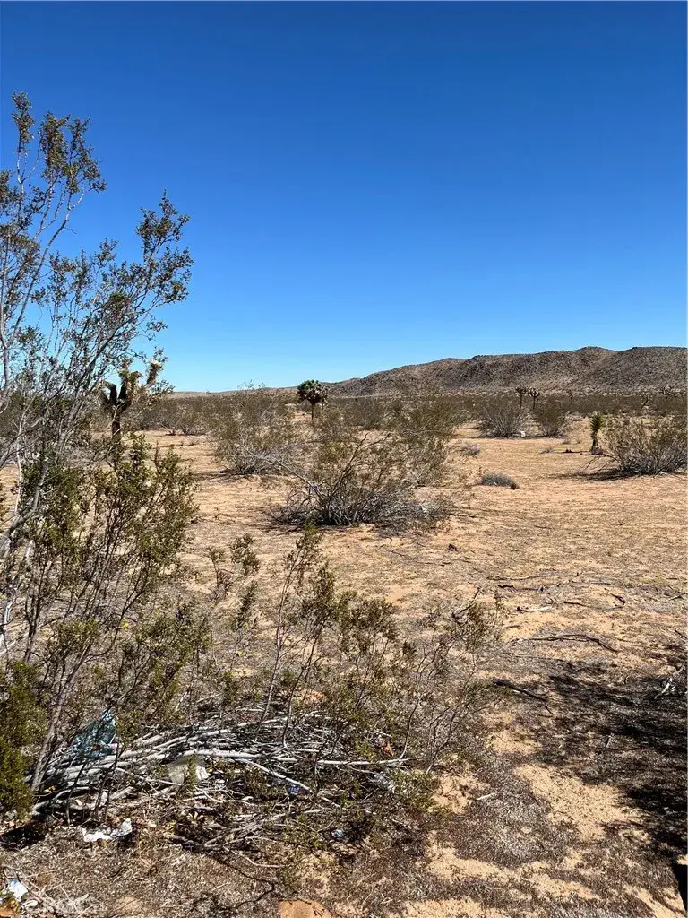 0 Avalon, Landers, CA 92285 - #2