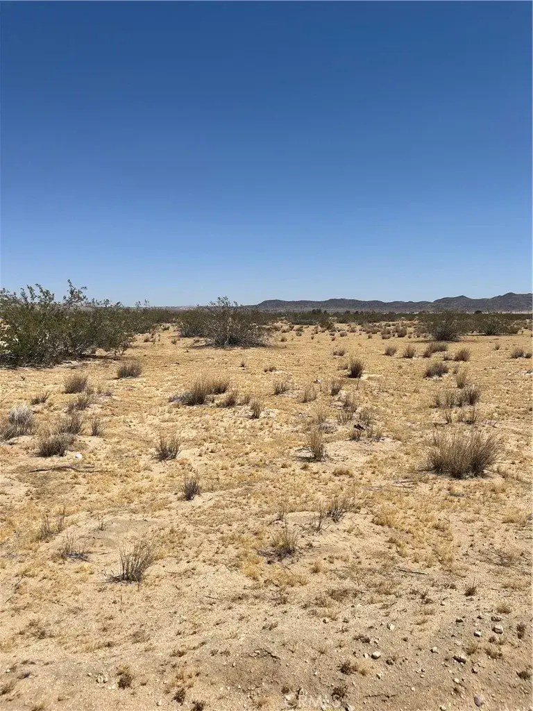 0 Division, Joshua Tree, CA 92252 - #2