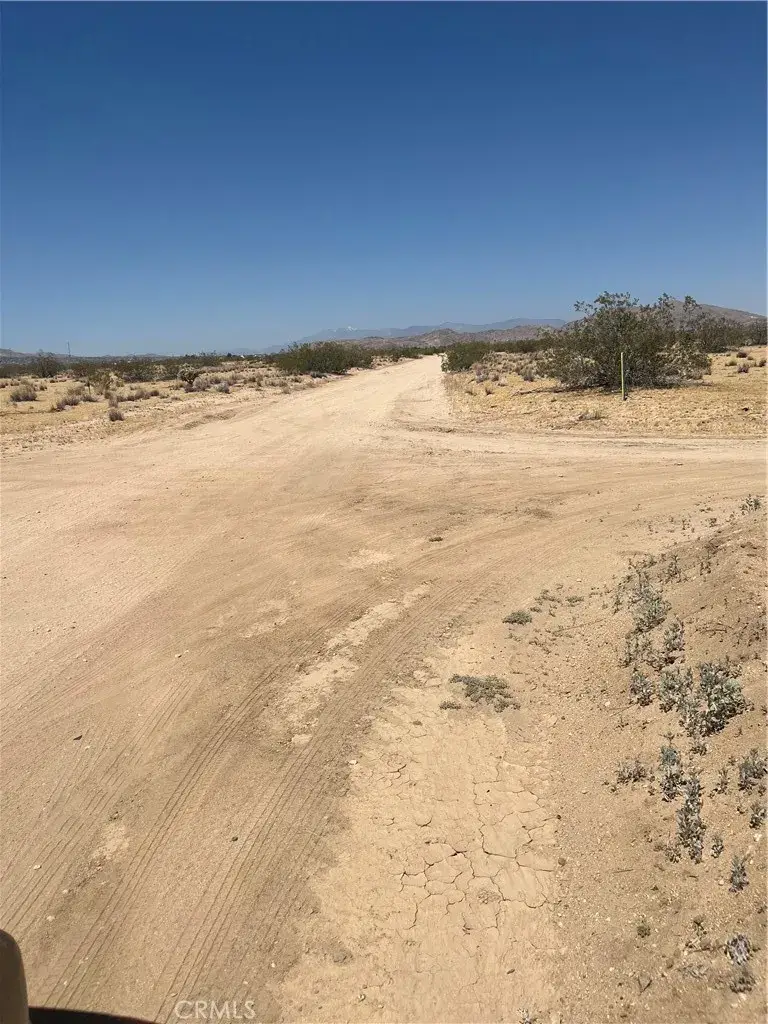 0 Division, Joshua Tree, CA 92252 - #3