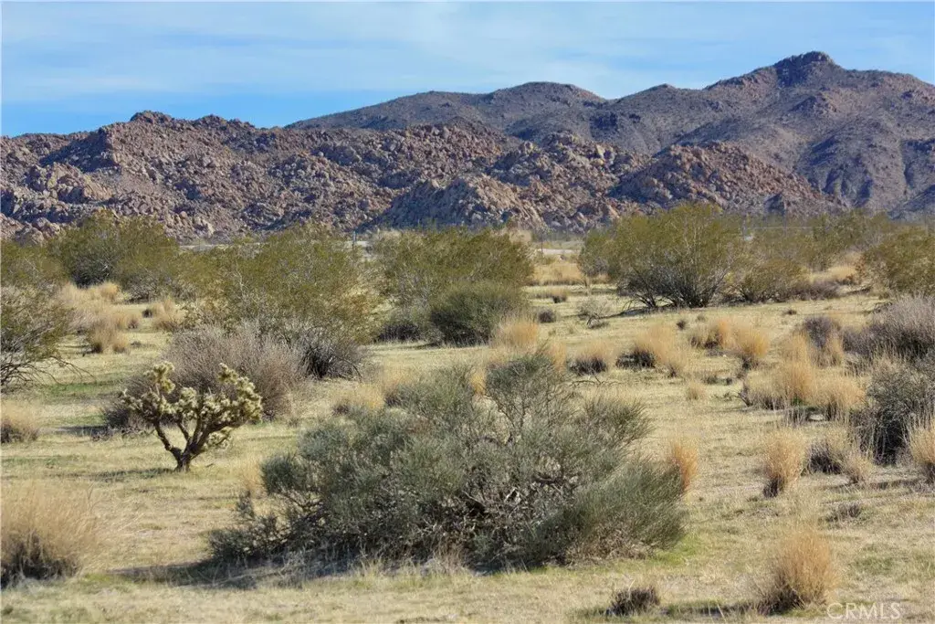 7130 Sunfair, Joshua Tree, CA 92252 - #1