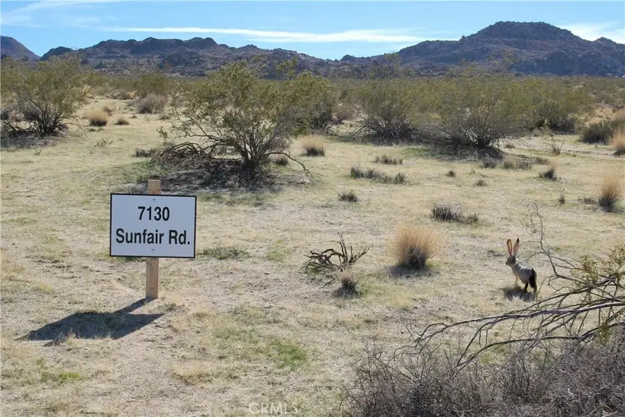 7130 Sunfair, Joshua Tree, CA 92252 - #2