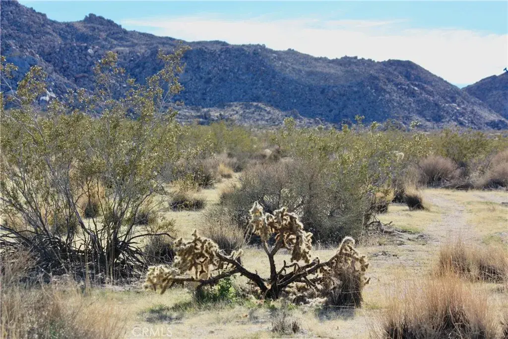 64647 Foothill, Joshua Tree, CA 92252 - #1