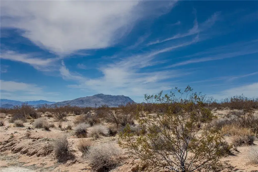 3374 Sunny Hill, Joshua Tree, CA 92252 - #1