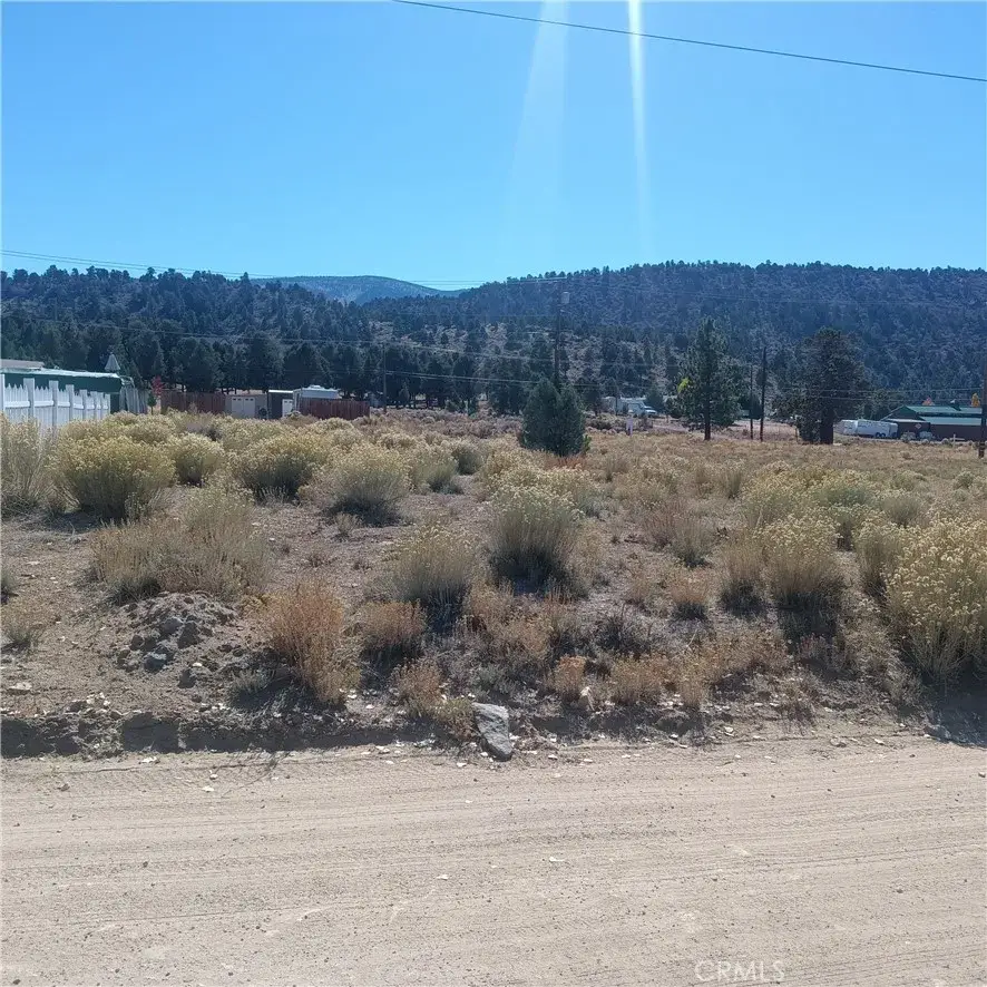 777 Old Pioneer Town, Big Bear City, CA 92314 - #1