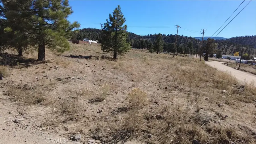 777 Old Pioneer Town, Big Bear City, CA 92314 - #2