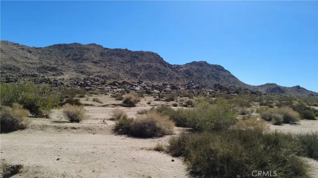 0 Campanula, Joshua Tree, CA 92252 - #1
