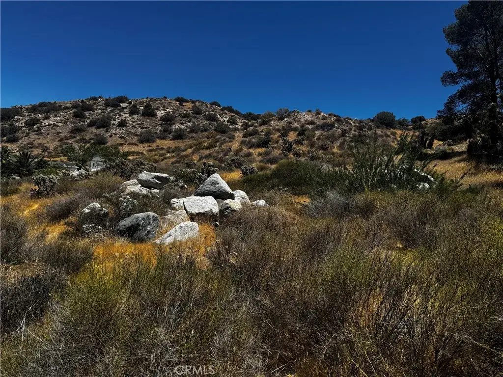 54025 Ridge, Yucca Valley, CA 92284 - #1