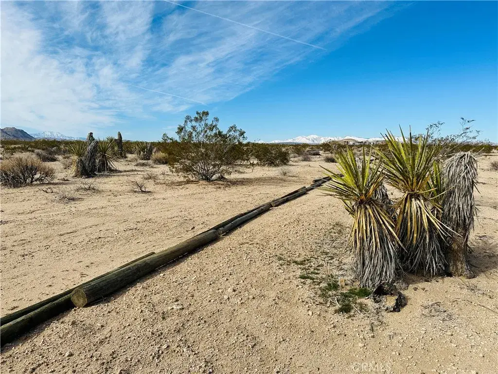 1234 Desert Lily, Joshua Tree, CA 92252 - #1