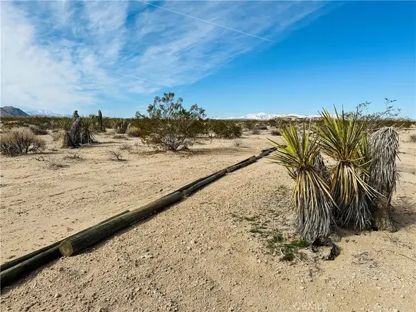 1234 Desert Lily, Joshua Tree, CA 92252