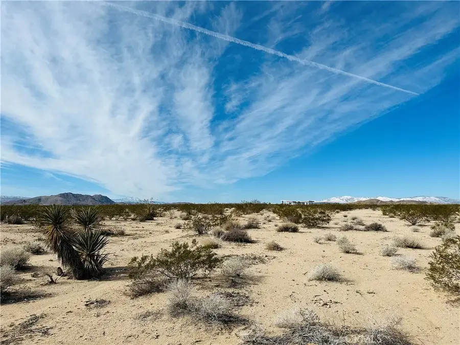 1234 Desert Lily, Joshua Tree, CA 92252 - #3